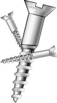 Graphic of screw (copyrignt Adrian Rayfield)